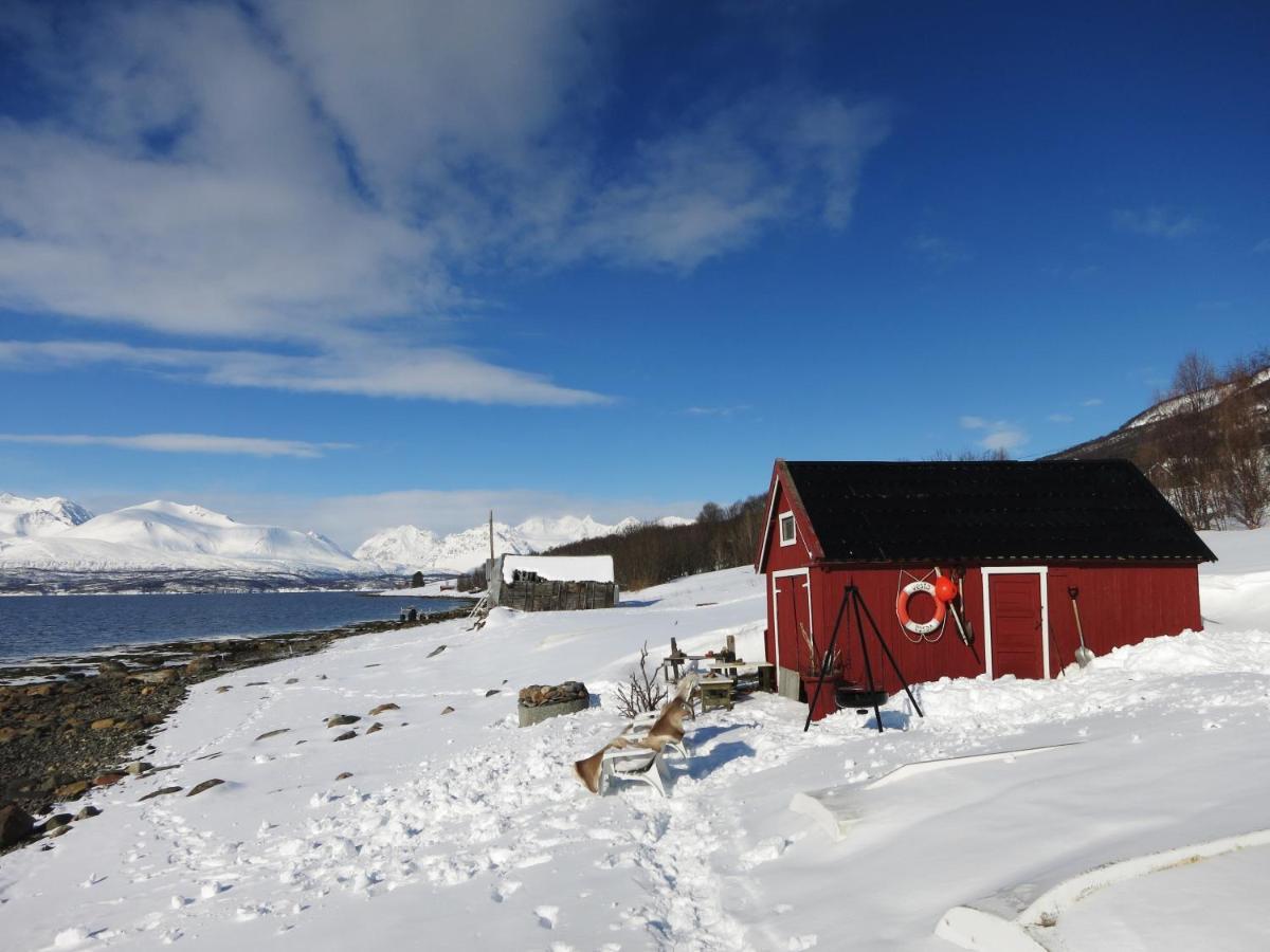 Olderdalen Ski Camp Экстерьер фото