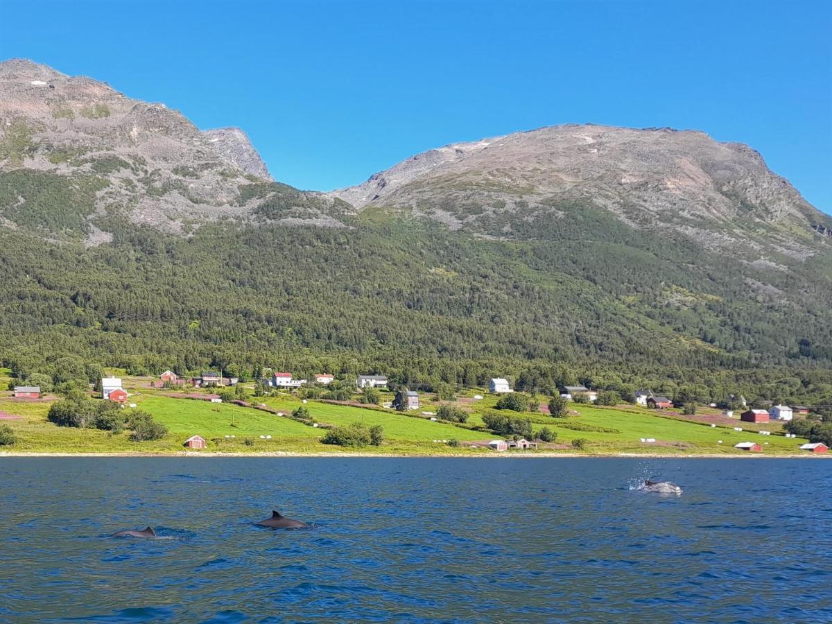 Olderdalen Ski Camp Экстерьер фото